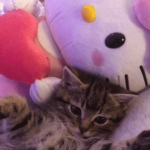 luvvkitty Group Thumbnail