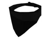Bandit proof