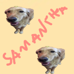 Sammi’s preppy con