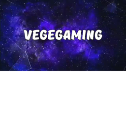 Vegegaming Fan Donation