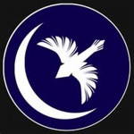 Army of House Arryn,