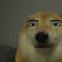 Meme Tryouts 2