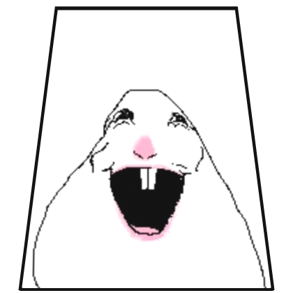 Funny Bunny Meme Cape Roblox item