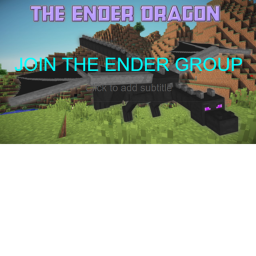 The groups official  battle game