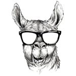 Aye, Llama Squad