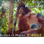 Great Ape Society.