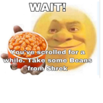 YOU STINK LIKE BEANS