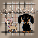 Candy & Burusa