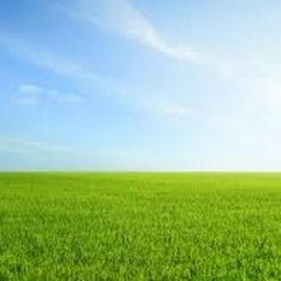 Grassy Fields RP (V1)