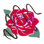 red rose studios.