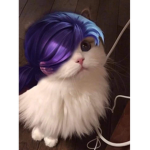 DREAM Channel
