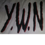 Y.W.N