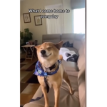 Doge lava army