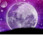 Moonclan Of The Forest
