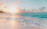 [BeachBabies]