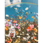 Apple Spring Sider