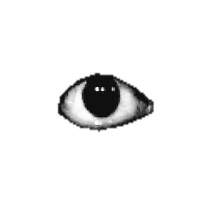 Bob Eye (Transparent Background) Roblox decal