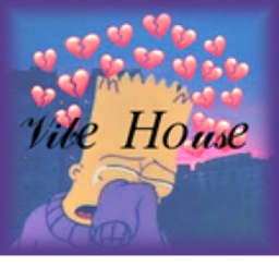 The VIbe House