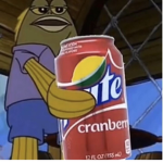 ST0RMY SN0W