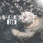 Safari's | Zoo Roleplay