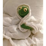 kermit army :D