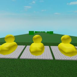 ride a duck