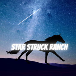 [BIG UPDATE!] Star Struck Ranch