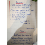 saramle1234