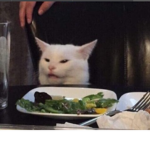 Me and the boys looking at memes