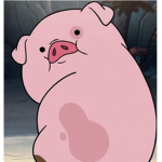 # Piggy Pack
