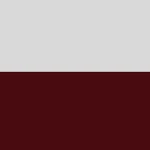 Wojska Książęce Warszawy Group Thumbnail