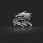 The Last Dragons