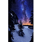 Galaxy wonder #bailey #skid