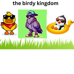 Birdy Kingdom