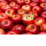 Sue Tart Epic Chill Story Gang