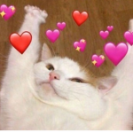 Adopt me / Robux giverways and accounts !!!!