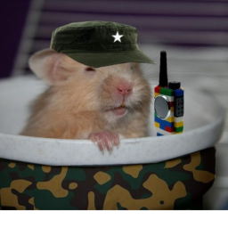 (fixed) Hamster border patrol!