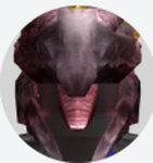 Master Dragon Services