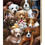 Puppy Puppy Puppy Luvers!