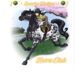Sunrise Valley Horse Club