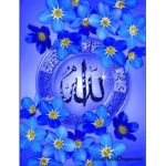 Wareesha.group