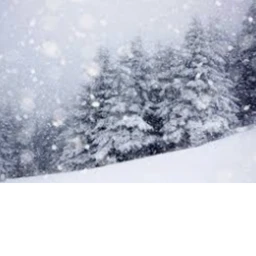 [SNOW UPDATE] Become a specialist military icon