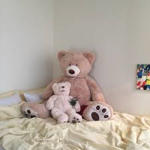 TeddyCo.