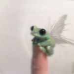 Froggos Group!