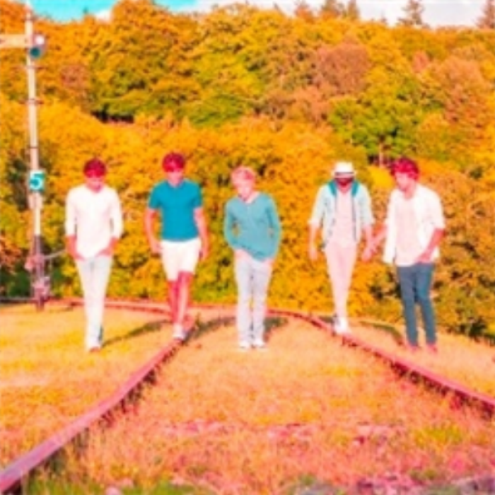 One Direction. Roblox decal