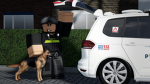 Hondengeleiders Gelderland midden
