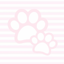 ꒷˚ ⋆｡˚꒷꒦