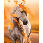 . Horse Spark .