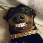 (Amigos)