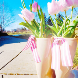 🌸★ ༄🌷𝓢𝓹𝓻𝓲𝓷𝓰!🌈⚡️✧ ･ﾟ:*